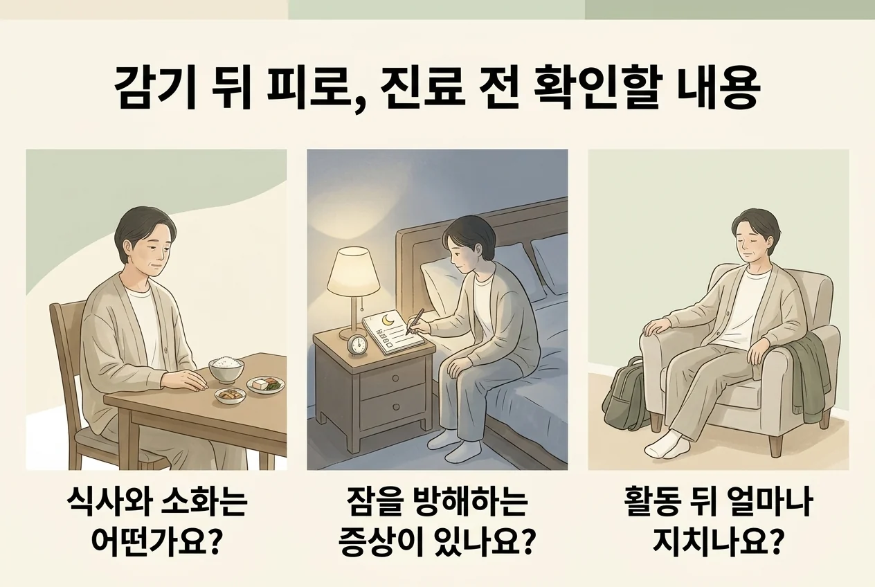 식사와 소화, 수면, 활동 후 피로를 진료 전에 확인하는 예시